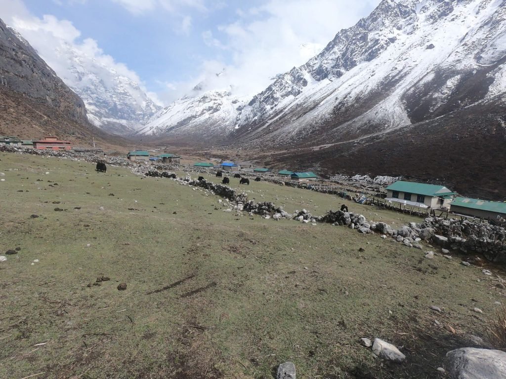 Scenic view of Na village with snow-capped mountains in the backdrop, as seen from Na-View Point Hotel.