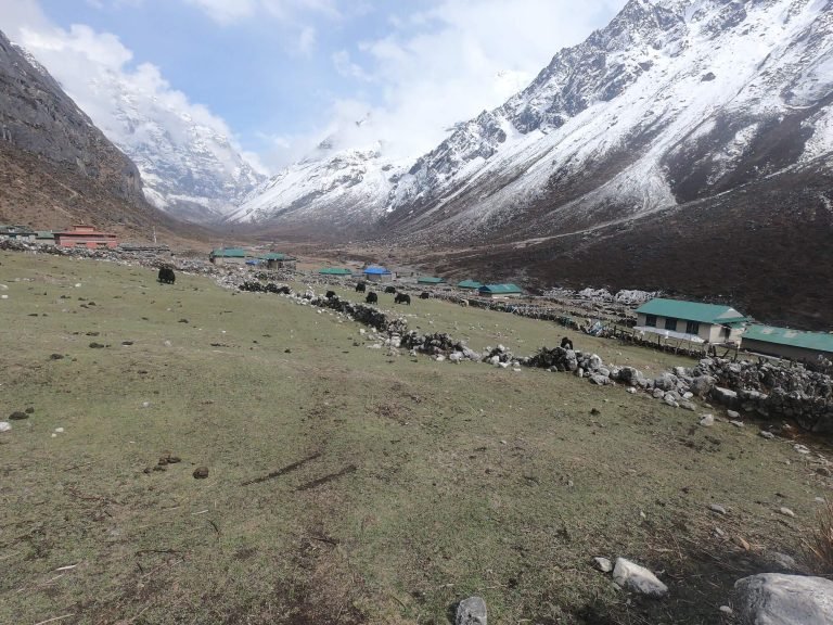 Scenic view of Na village with snow-capped mountains in the backdrop, as seen from Na-View Point Hotel.