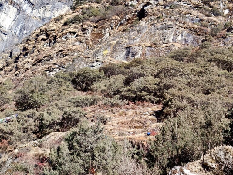 Himalayan landscape with the national bird of Nepal spotted during Everest base camp trek.
