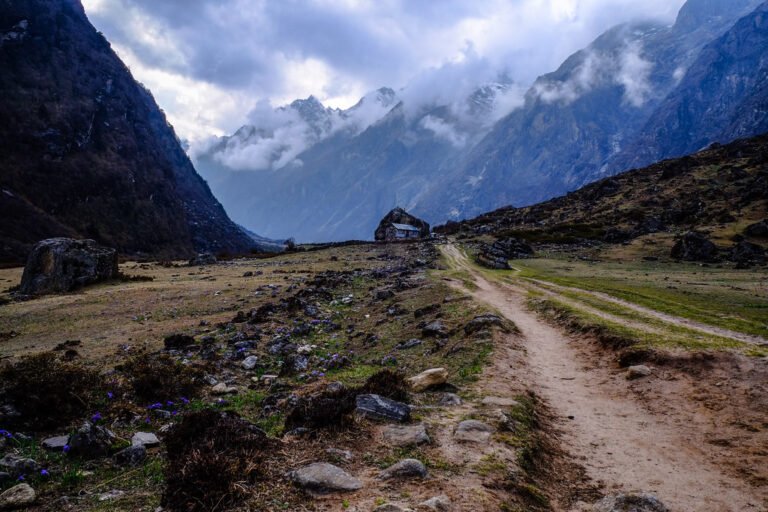 14146610921_10ae7468e7_b