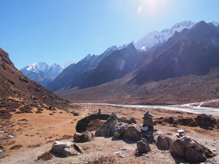 8159494518_1500a53c33_b