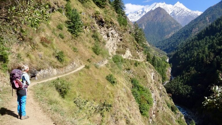 27485282449_999ef83cc0_c