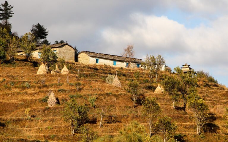 31046053844_53fc31c8e9_b