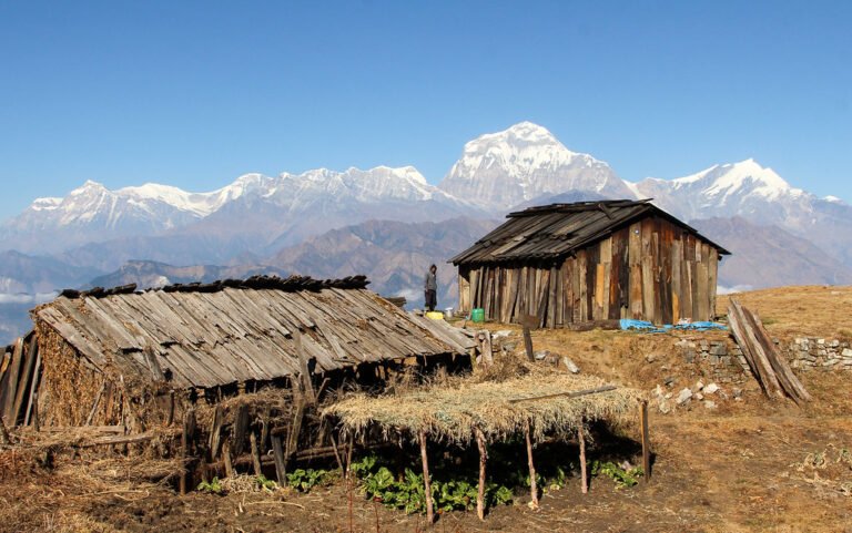 31076790663_52dd63c2ae_b