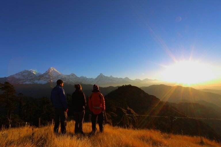 31970517723_fb8d01317b_b