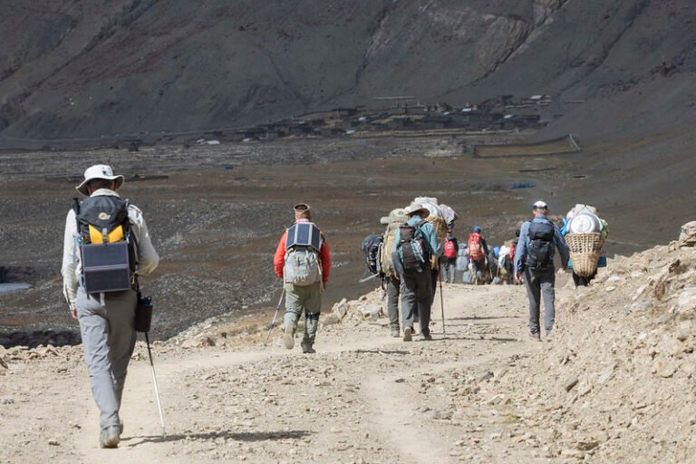 51189844467_0fa8869d2f_c