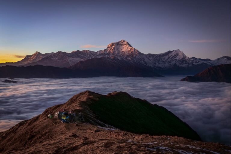 54239209386_ddbee77cd3_b