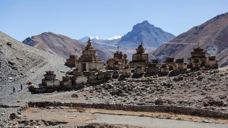 8984553017_41fdc95ef0_c